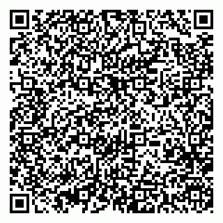 vCard 79393003873