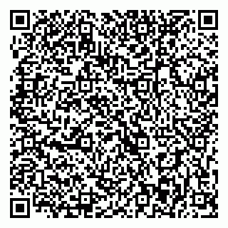 vCard 79393003880