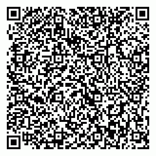 vCard 79393003901