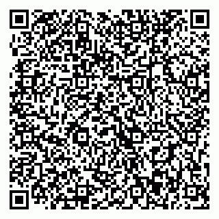 vCard 79393003963