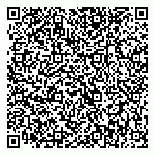 vCard 79393003985