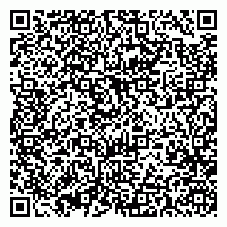 vCard 79393003987