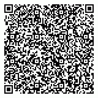 vCard 79393004008
