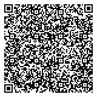vCard 79393004013