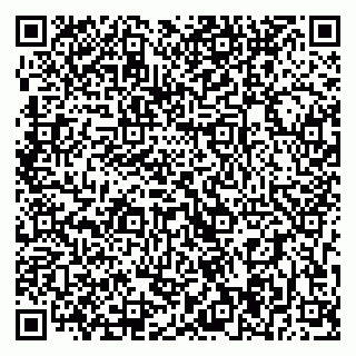 vCard 79393004021