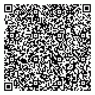 vCard 79393004029