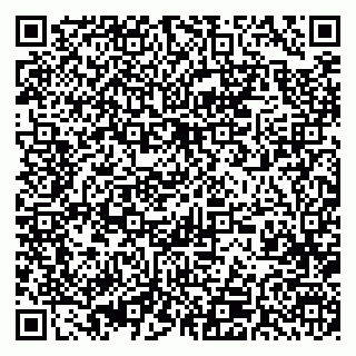 vCard 79393004038