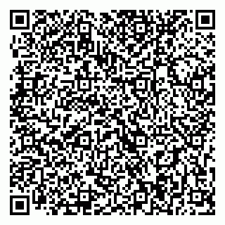 vCard 79393004041