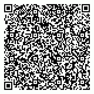 vCard 79393004048