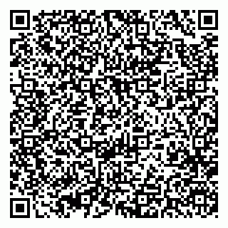 vCard 79393004061
