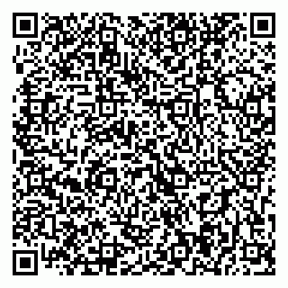 vCard 79393004062