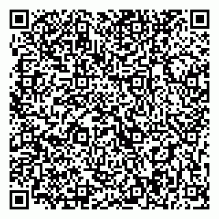 vCard 79393004063