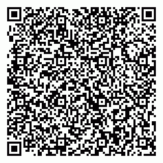 vCard 79393004072