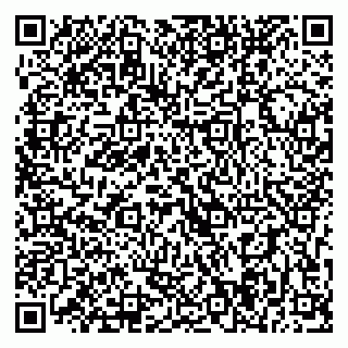 vCard 79393004073