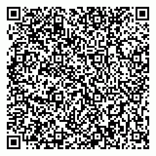 vCard 79393004077
