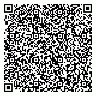 vCard 79393004080