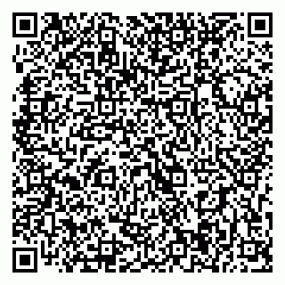 vCard 79393004084
