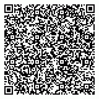 vCard 79393004085