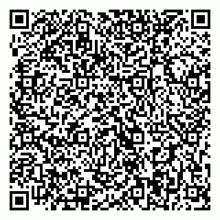 vCard 79393004089