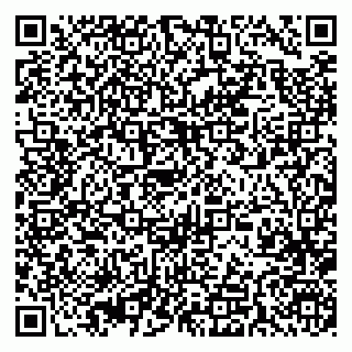 vCard 79393004092
