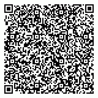 vCard 79393004096