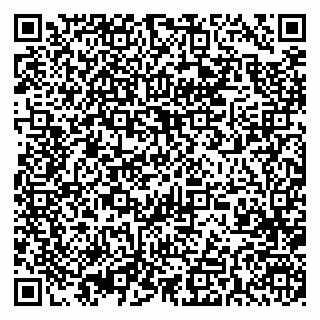 vCard 79393004097
