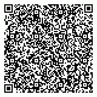 vCard 79393004100