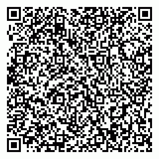 vCard 79393004103