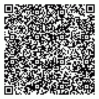 vCard 79393004104