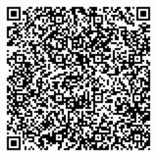 vCard 79393004105
