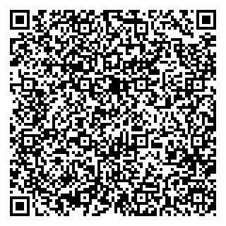 vCard 79393004113