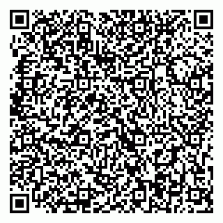 vCard 79393004119