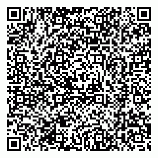 vCard 79393004131