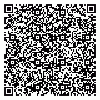 vCard 79393004132