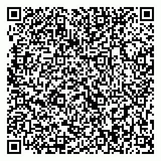 vCard 79393004133