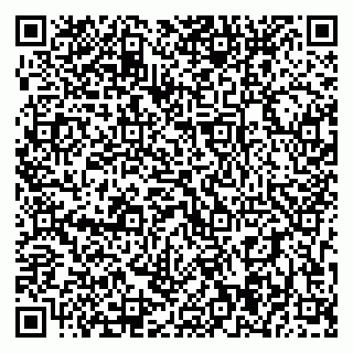 vCard 79393004152