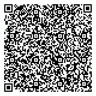 vCard 79393004153