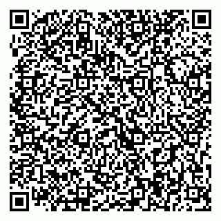 vCard 79393004161