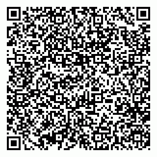 vCard 79393004173
