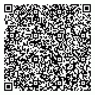 vCard 79393004198