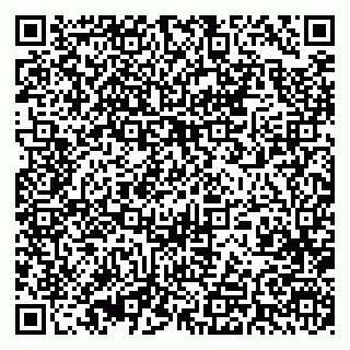 vCard 79393004201