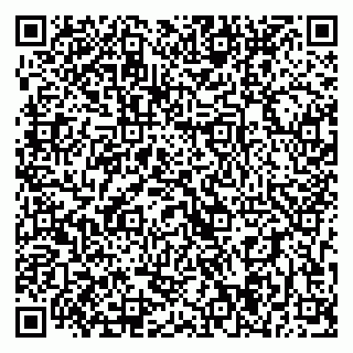 vCard 79393004203
