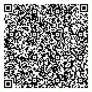 vCard 79393004206