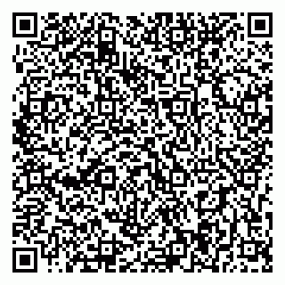 vCard 79393004231