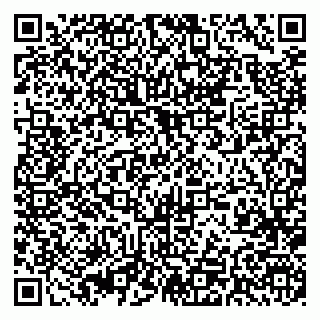 vCard 79393004239