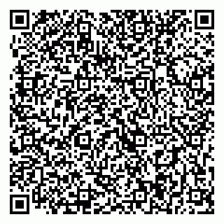 vCard 79393004241