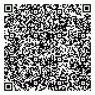 vCard 79393004272