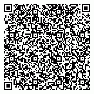 vCard 79393004285