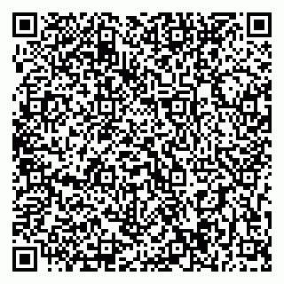 vCard 79393004287