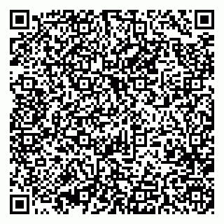 vCard 79393004302